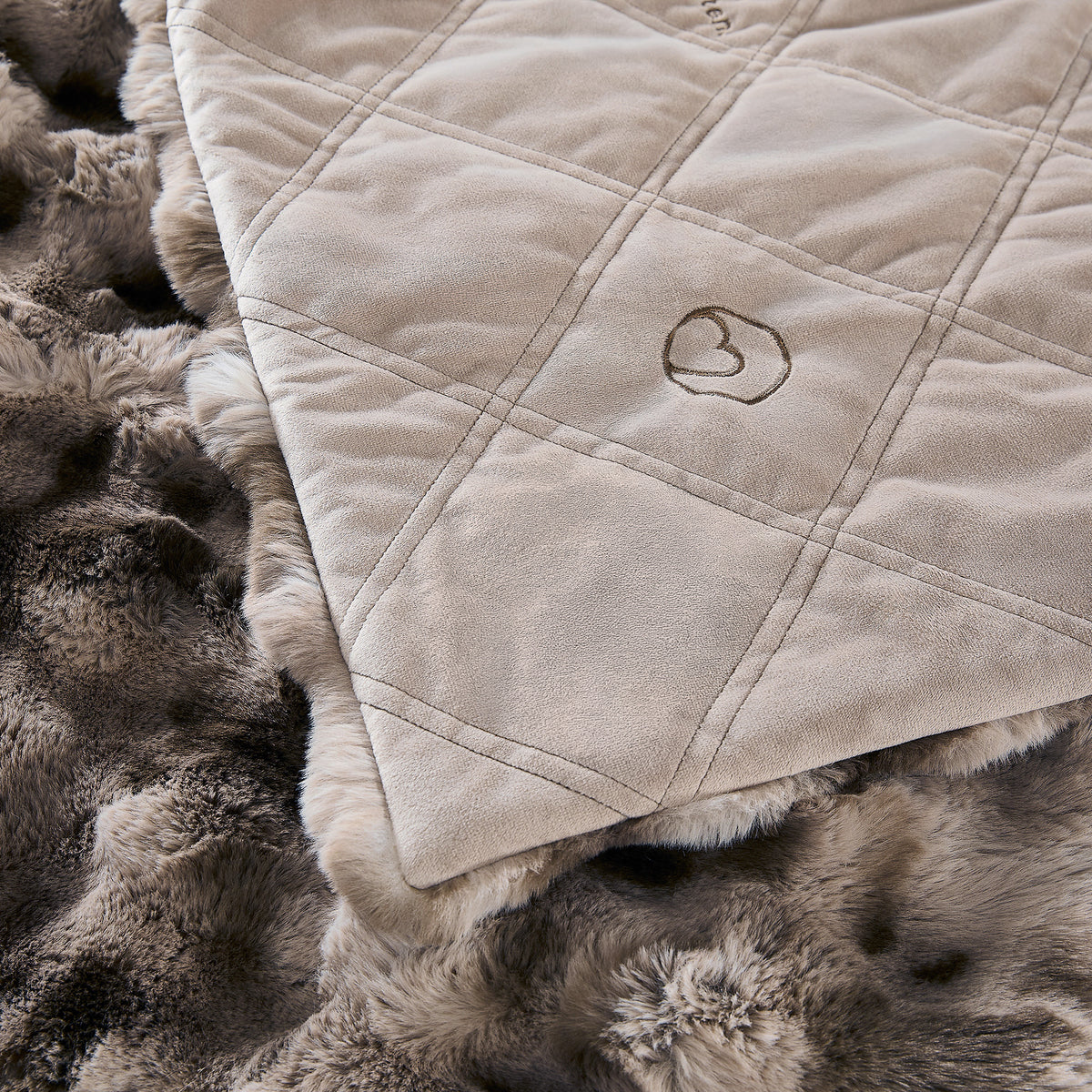Wrapped in Words™ - Blanket Collection